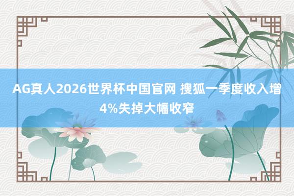 AG真人2026世界杯中国官网 搜狐一季度收入增4%失掉大幅收窄