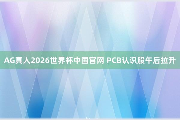 AG真人2026世界杯中国官网 PCB认识股午后拉升