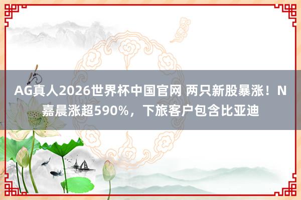 AG真人2026世界杯中国官网 两只新股暴涨！N嘉晨涨超590%，下旅客户包含比亚迪