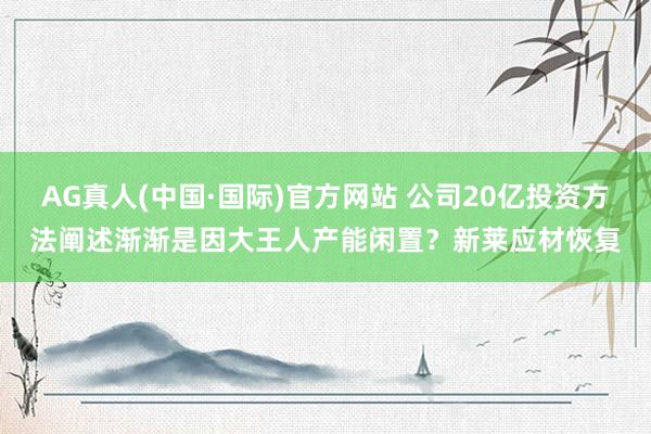 AG真人(中国·国际)官方网站 公司20亿投资方法阐述渐渐是因大王人产能闲置？新莱应材恢复