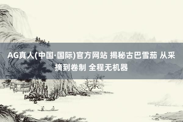 AG真人(中国·国际)官方网站 揭秘古巴雪茄 从采摘到卷制 全程无机器