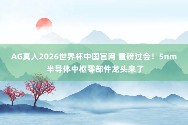 AG真人2026世界杯中国官网 重磅过会！5nm 半导体中枢零部件龙头来了