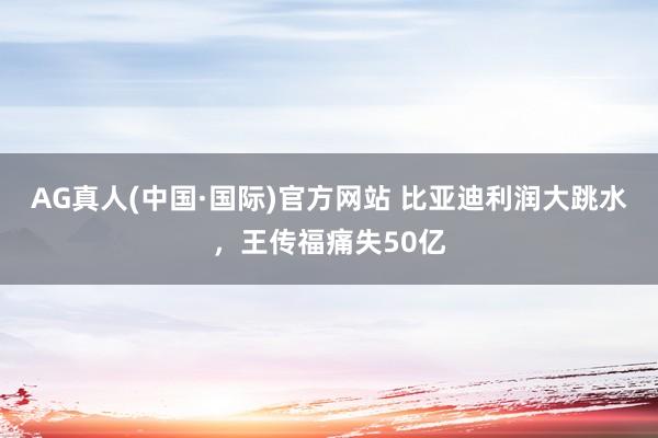 AG真人(中国·国际)官方网站 比亚迪利润大跳水，王传福痛失50亿