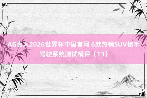 AG真人2026世界杯中国官网 6款热销SUV援手驾驶系统测试横评（13）