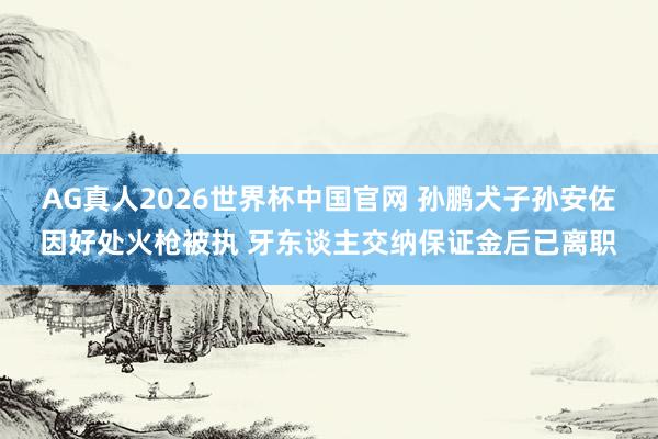 AG真人2026世界杯中国官网 孙鹏犬子孙安佐因好处火枪被执 牙东谈主交纳保证金后已离职