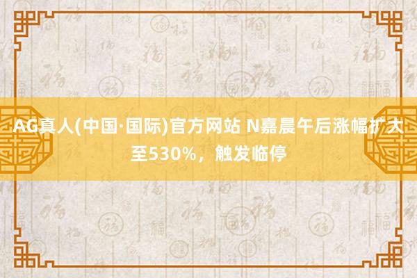 AG真人(中国·国际)官方网站 N嘉晨午后涨幅扩大至530%，触发临停