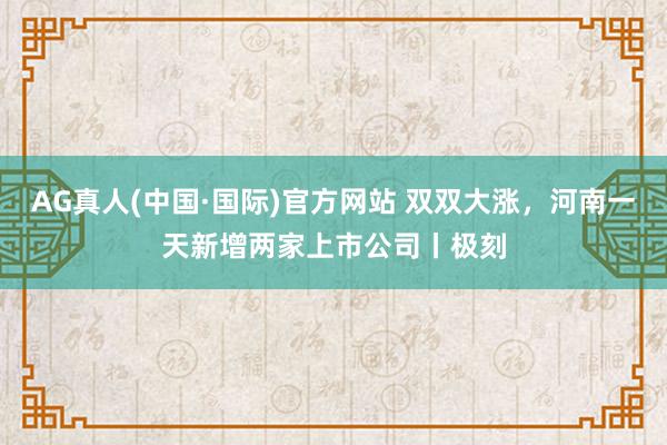 AG真人(中国·国际)官方网站 双双大涨，河南一天新增两家上市公司丨极刻