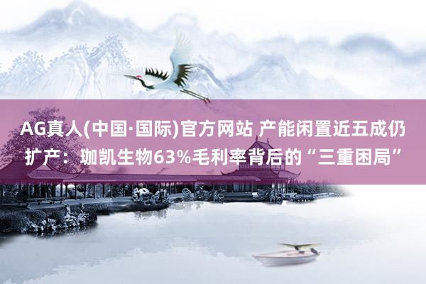 AG真人(中国·国际)官方网站 产能闲置近五成仍扩产：珈凯生物63%毛利率背后的“三重困局”