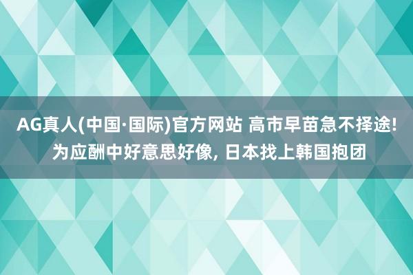 AG真人(中国·国际)官方网站 高市早苗急不择途! 为应酬中好意思好像， 日本找上韩国抱团