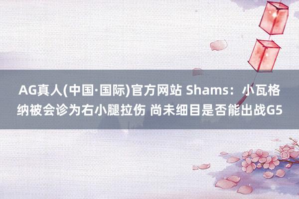 AG真人(中国·国际)官方网站 Shams：小瓦格纳被会诊为右小腿拉伤 尚未细目是否能出战G5