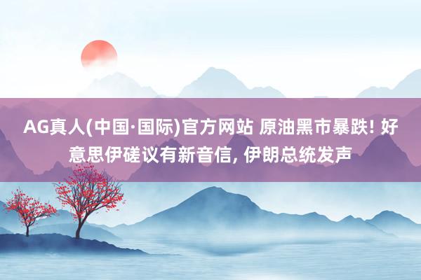 AG真人(中国·国际)官方网站 原油黑市暴跌! 好意思伊磋议有新音信， 伊朗总统发声