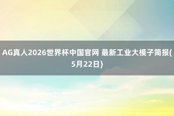 AG真人2026世界杯中国官网 最新工业大模子简报(5月22日)