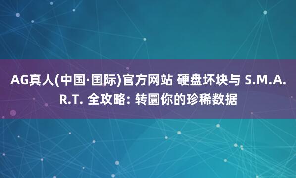AG真人(中国·国际)官方网站 硬盘坏块与 S.M.A.R.T. 全攻略: 转圜你的珍稀数据