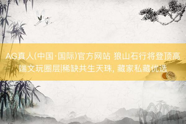 AG真人(中国·国际)官方网站 狼山石行将登顶高端文玩圈层|稀缺共生天珠， 藏家私藏优选